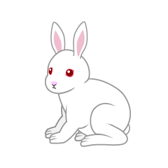 White Rabbit