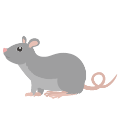 Mouse