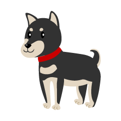 Shiba Inu negro