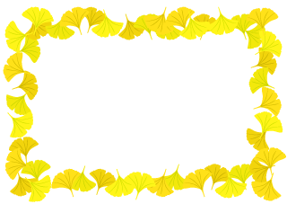 Ginkgo Leaves Border