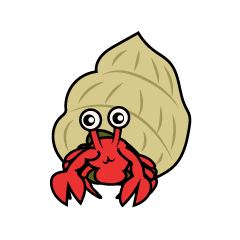 Hermit crab