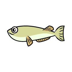 Small Fish