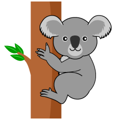 Koala