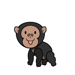 Cute Chimpanzee