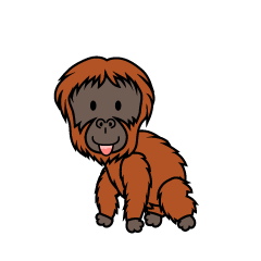 Cute Orangutan