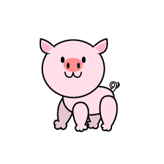 Cute Pig