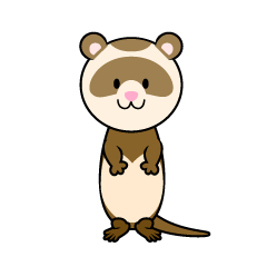 Cute Otter