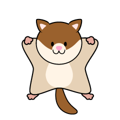 Cute Flying Squirrel