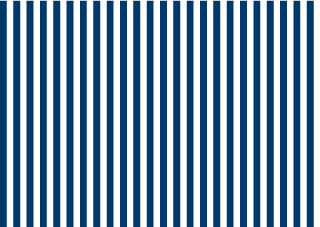 Navy Stripe