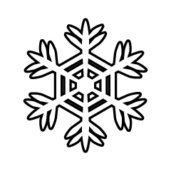 Snowflake Black and White  5