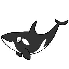 Killer Whale