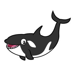 Smiling Killer Whale