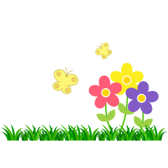 Butterflies and Flowers