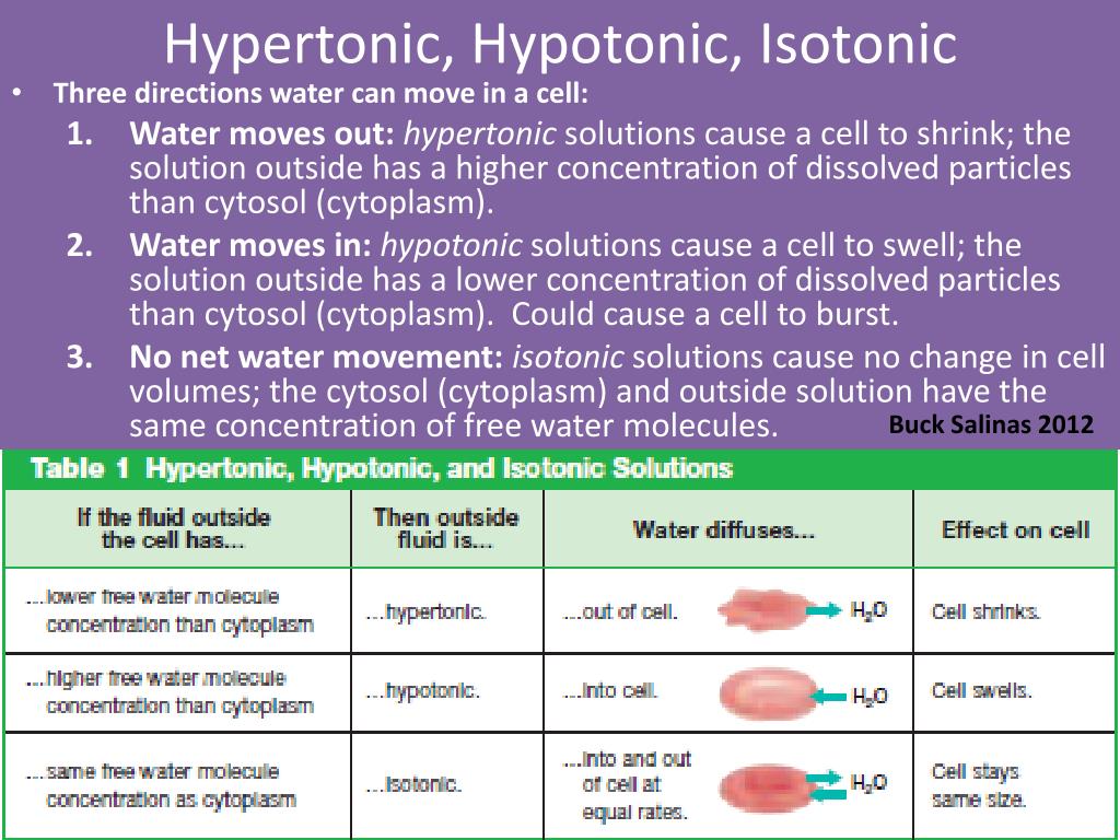 Hypertonic hypotonic isotonic simple diagrams - londoninriko