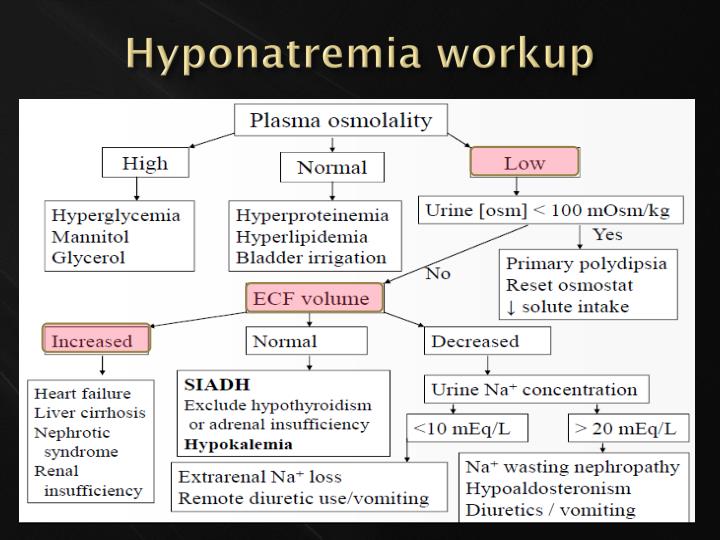 Hyponatremia Workup AAFP