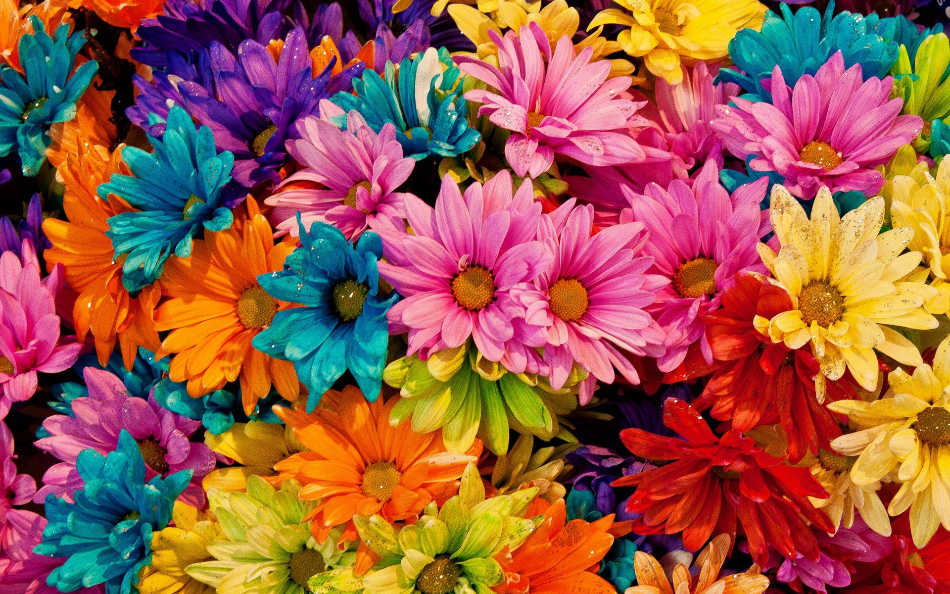 Wallpaperswallpapers Wallpapers Fondos De Flores Papel Pintado | The ...