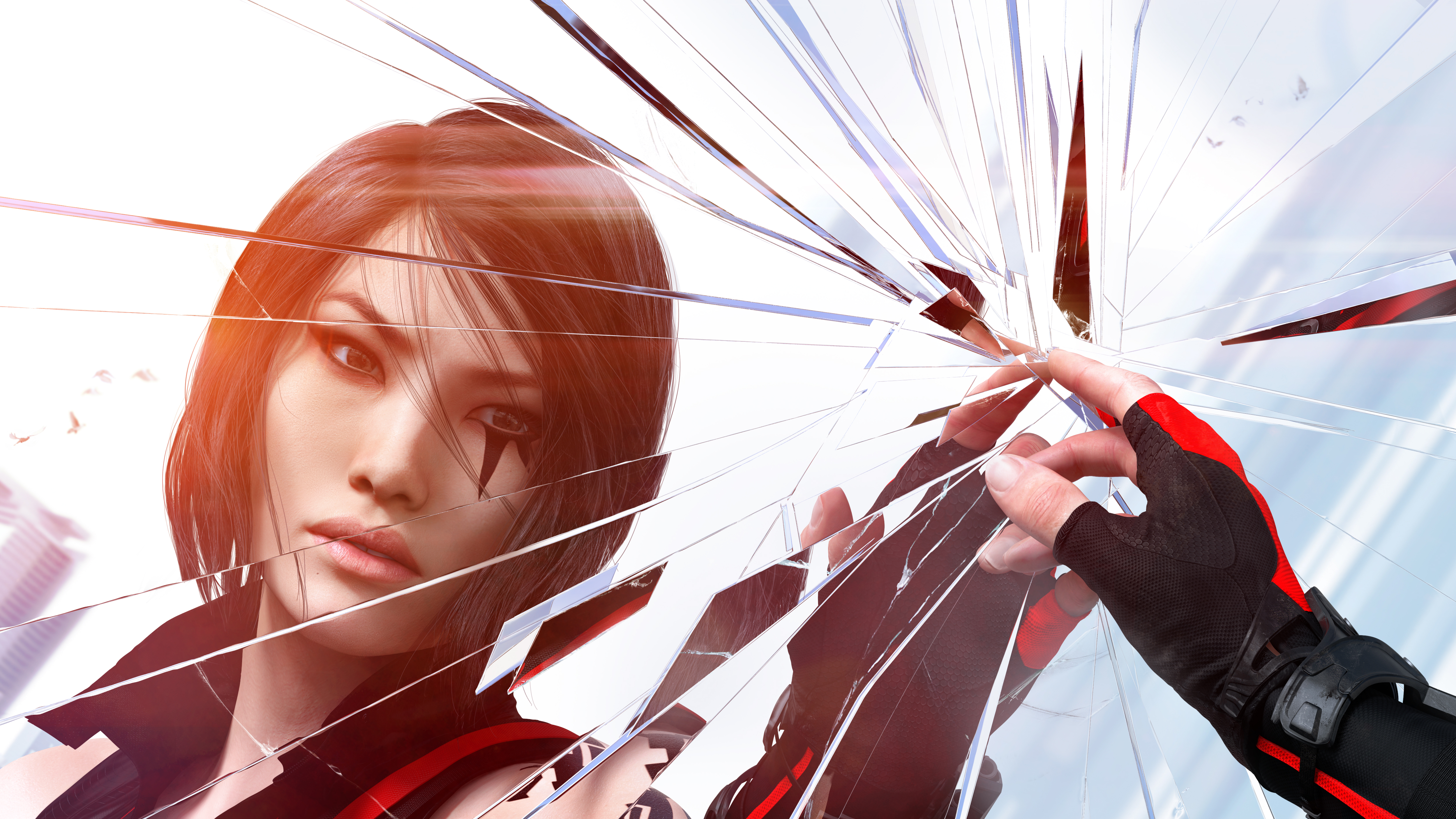 Mirrors edge HD wallpapers  Pxfuel