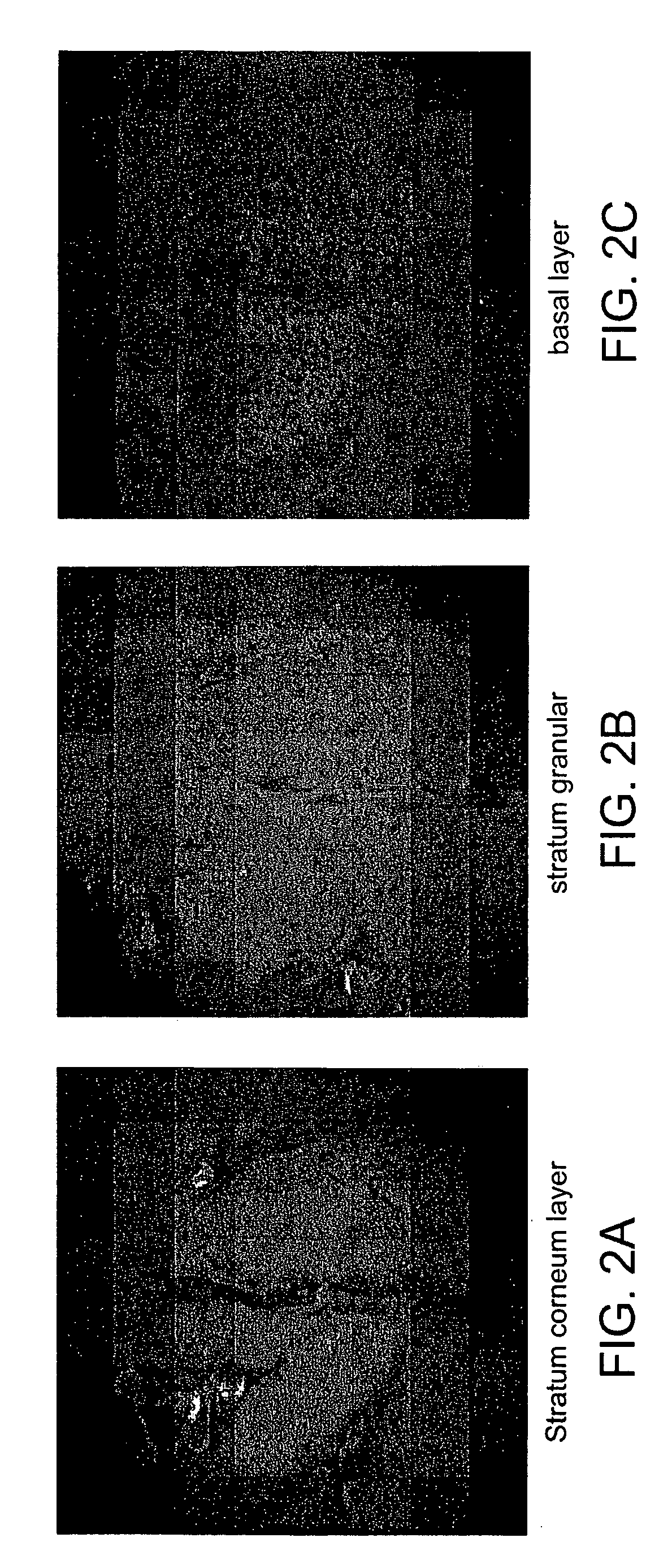 Multifocal imaging systems and method