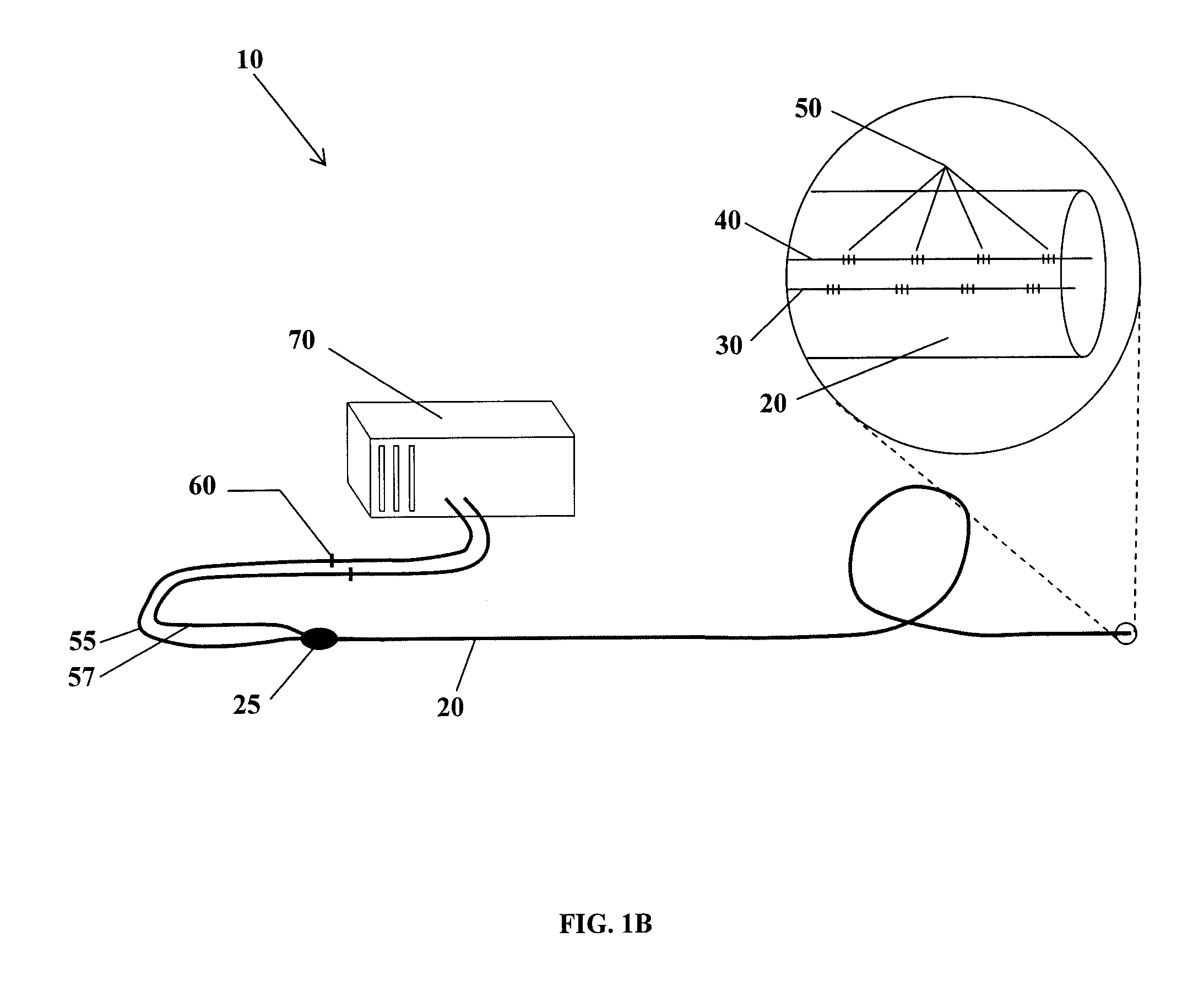 Fiber optic position and shape sensing device and method relating thereto