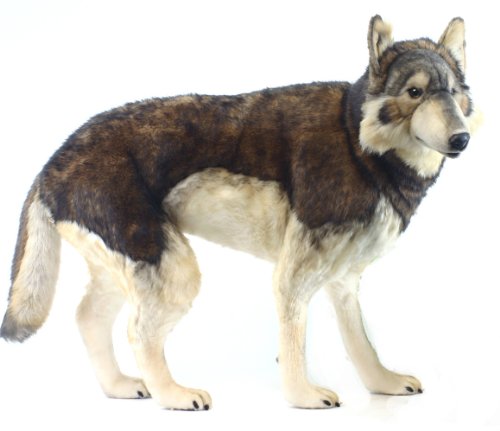 Hansa Timber Wolf40 x 16 x 31 inches