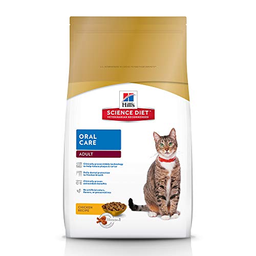 The Best 4 Health Cat All Stages Food Dry