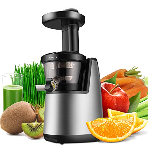 Flexzion Cold Press Juicer Machine - Masticating Juicer Slow Juice Extractor Maker Electric Juicing Vertical Stand for Fruit, Vegetable, Greens, Wheat Grass & More with Big Cup & Juicing Bowl