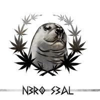 Nero Seal