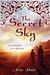 The Secret Sky A Novel of Forbidden Love in Afghanistan by Atia Abawi