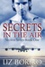 Secrets in the Air (Secrets, #1) by Liz Borino