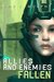 Allies and Enemies Fallen, Book 1 (Allies and Enemies Series) by Amy J. Murphy