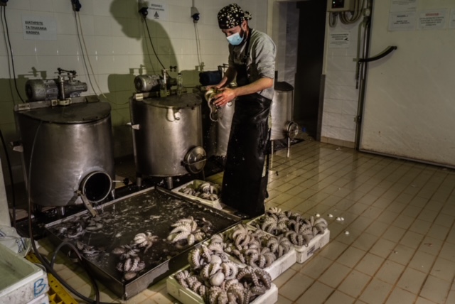 octopus processing plant