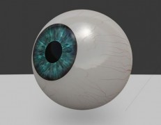 глазное яблоко 3d model