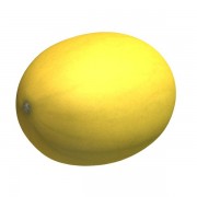 Frucht v1 3d model