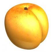 Frucht v1 3d model