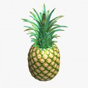 Pineapple v1 fruit 3d model