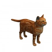 Katze v1 3d model