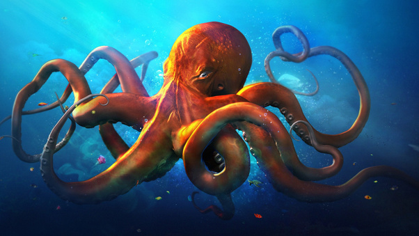 Slouching Octopus Wallpaper