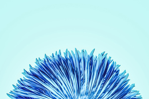 3d Render Flower 5k (2932x2932) Resolution Wallpaper