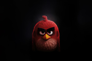 Angry Birds Dark 5k Wallpaper