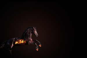 Ktm Horse (2560x1600) Resolution Wallpaper