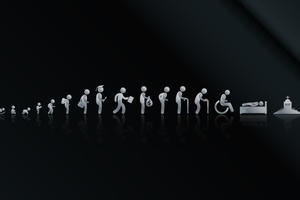 Life Cycle Minimalism (1336x768) Resolution Wallpaper