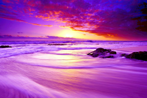 Purple Beach Sunset 4k (2932x2932) Resolution Wallpaper