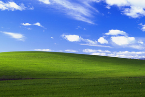 Windows Xp Bliss 4k (1280x800) Resolution Wallpaper