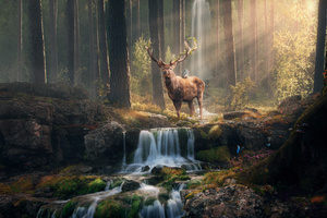 The Deer And The Owl (1336x768) Resolution Wallpaper