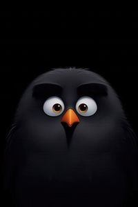 Angry Birds Bomb Minimal 5k (1440x2560) Resolution Wallpaper