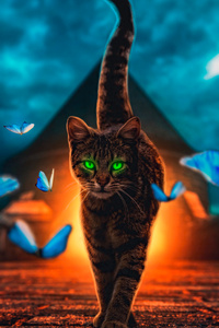 Cat Magical Walk 4k (720x1280) Resolution Wallpaper