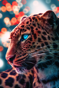 Cheetah Magical Eyes 4k (720x1280) Resolution Wallpaper