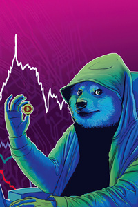 Dogecoin 4k (360x640) Resolution Wallpaper