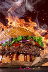 Hot Spicy Burger (1440x2960) Resolution Wallpaper