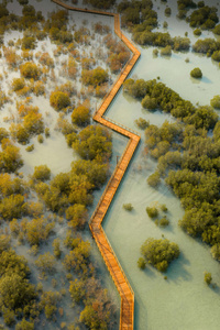 Jubail Mangrove Park Dubai (240x320) Resolution Wallpaper